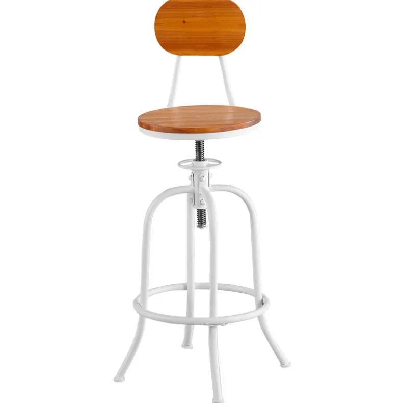Adjustable Swivel Stool with Back