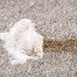 Bull Shot™ Carpet Spot And Stain-Lifting Foam Remover By Horsepower™