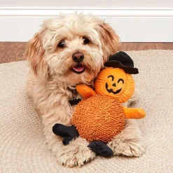 Giggling Pumpkin Halloween Dog Toy
