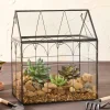 Glass And Metal Garden Terrarium