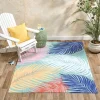 Indoor/Outdoor Coastal Print Accent Rug or Runner