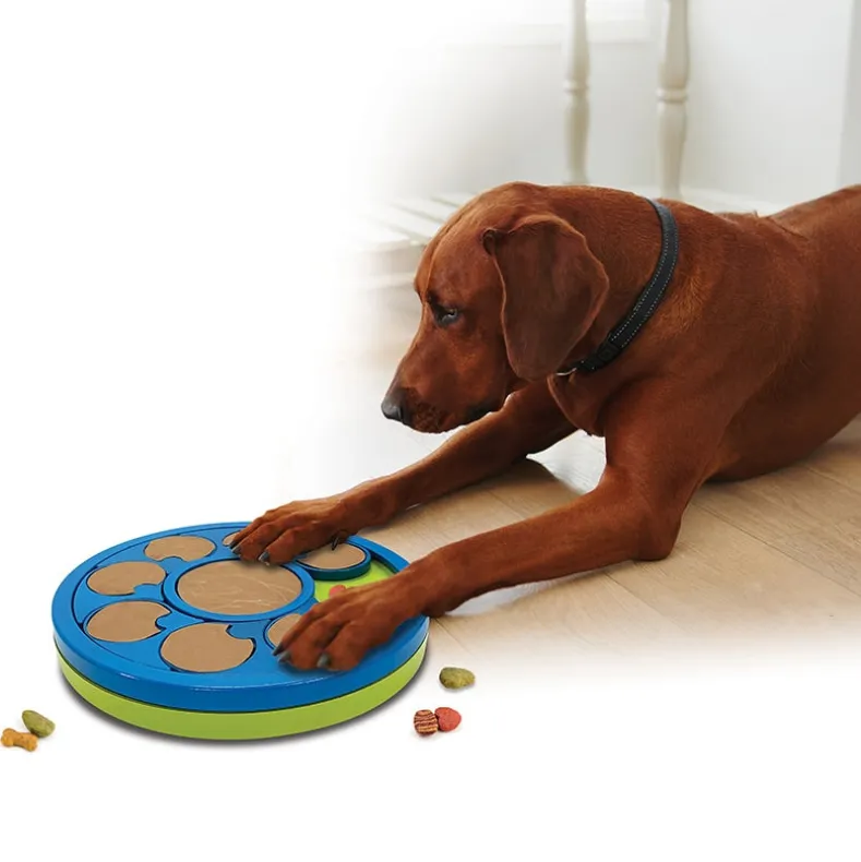 2-in-1 Interactive Pet Toy with Treat Puzzle