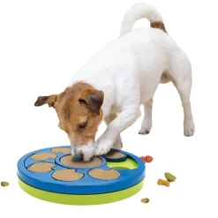2-in-1 Interactive Pet Toy with Treat Puzzle