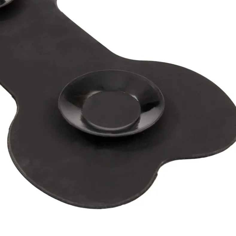 Lick Pad For Dogs, Bone Shape with Suction Cups