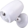 Motion Sensor LED Outdoor Security Light