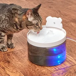 Pet Water Fountain
