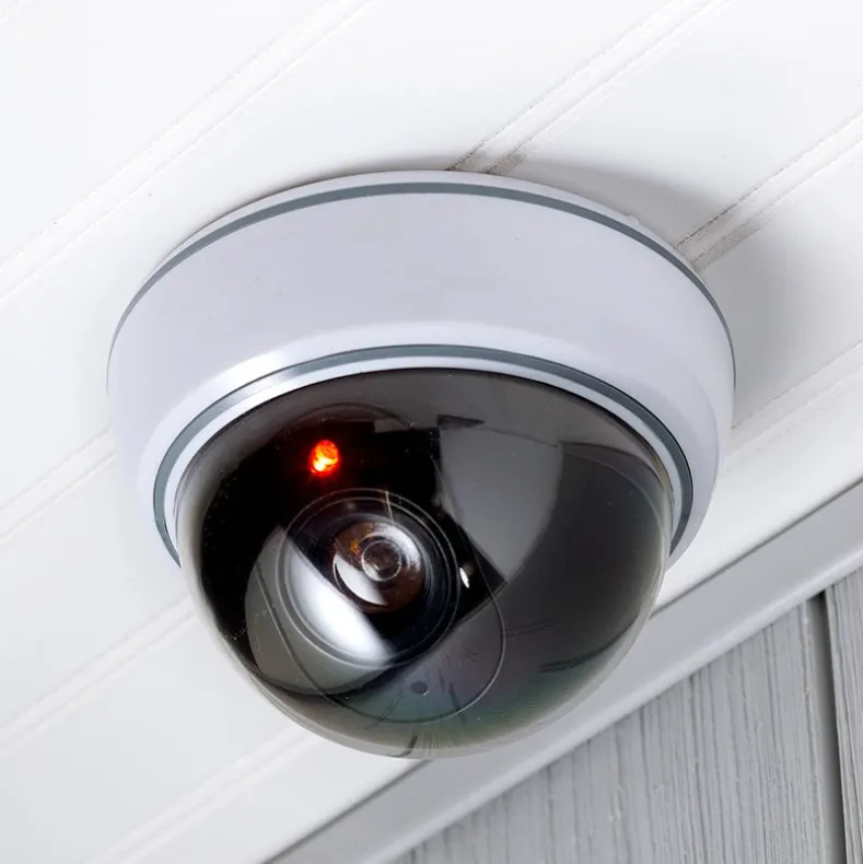 Realistic Security Dome Camera
