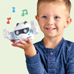 Smart Rolling Robot