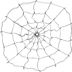 Spider Web Light