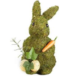 Spring Woodland Forest Home Collection