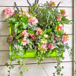 Wall Planting System