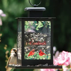 When Cardinals Appear Bird Feeder