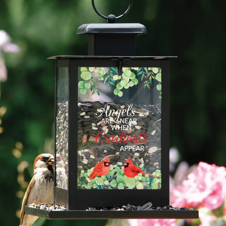 When Cardinals Appear Bird Feeder