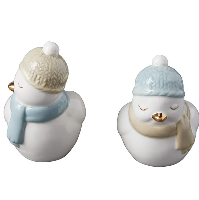 Winter Birds Salt and Pepper Shakers